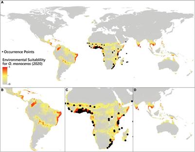 The Impact of Climate Change on Potential Invasion Risk of Oryctes monoceros Worldwide